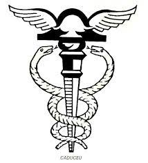collection logo